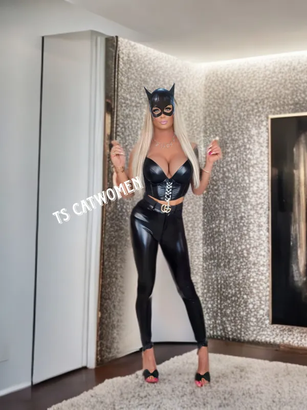 TS Catwomen6 – Trans Escort Heilbronn